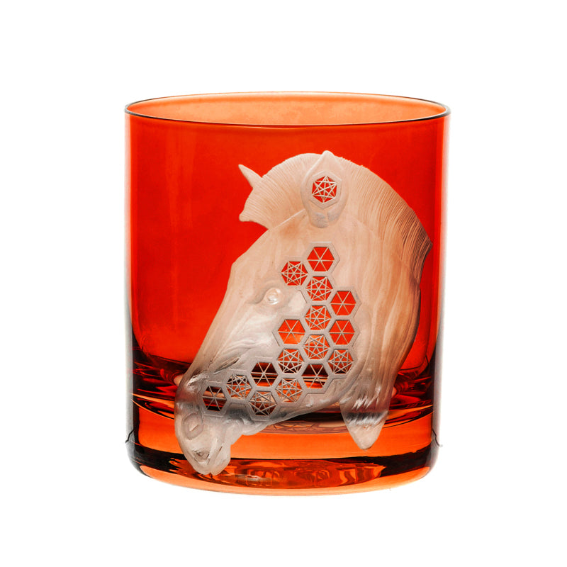 African Safari Zebra