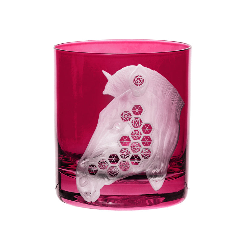 African Safari Zebra