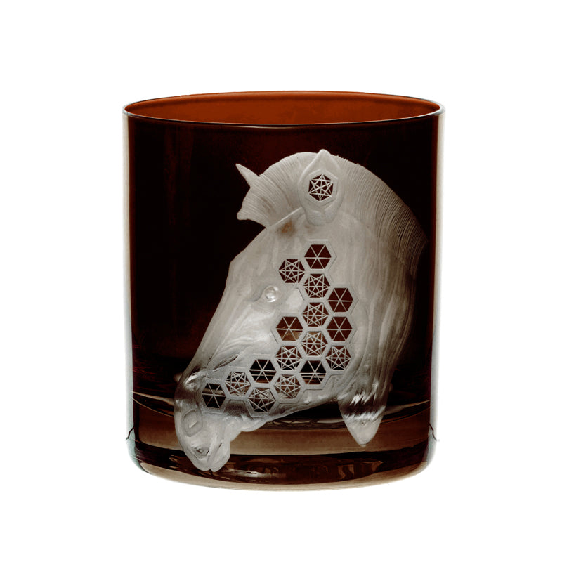 African Safari Zebra