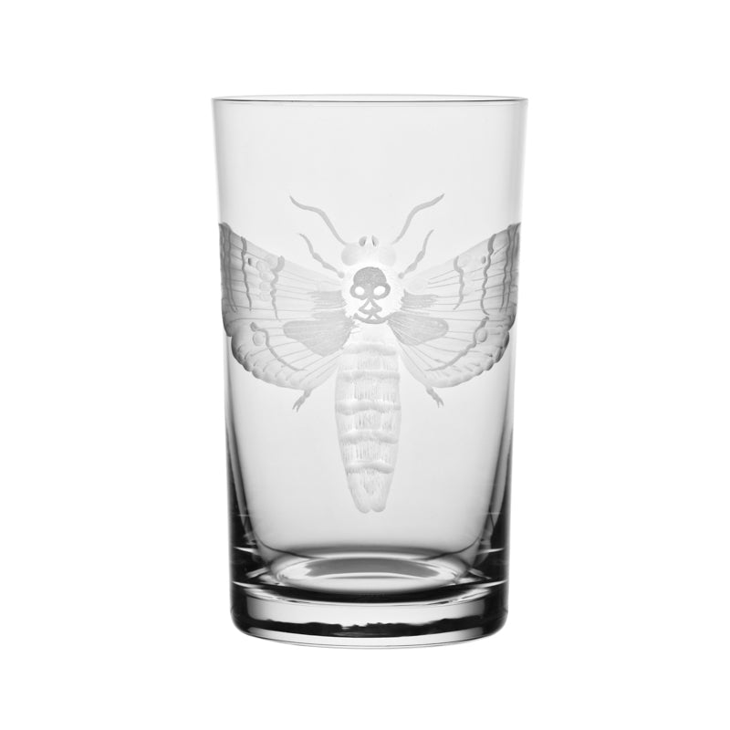 Cabinet of Curiosities Butterfly