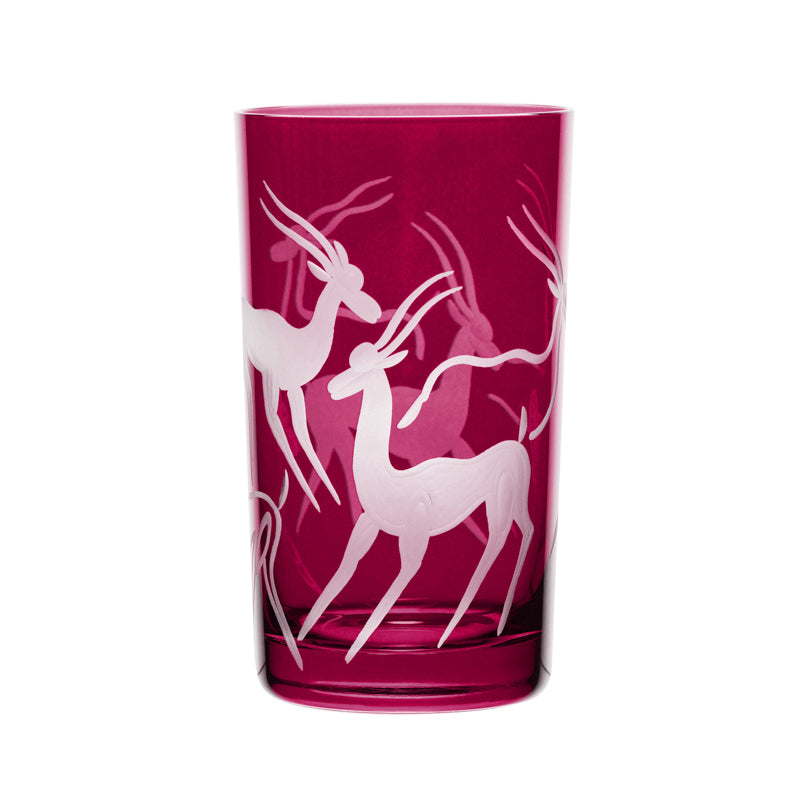 Safari Gazelles
