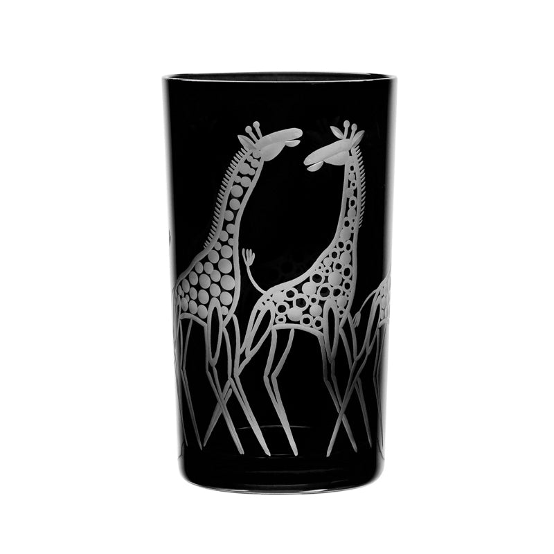 Safari Giraffes