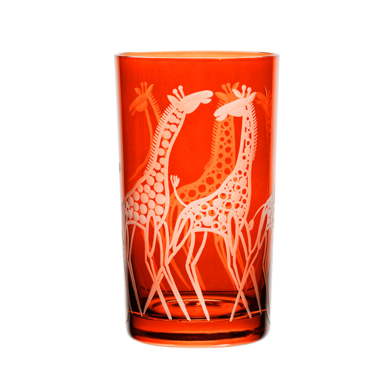 Safari Giraffes