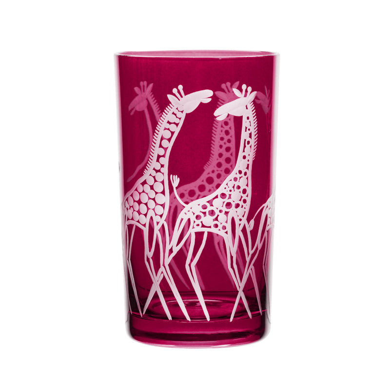 Safari Giraffes