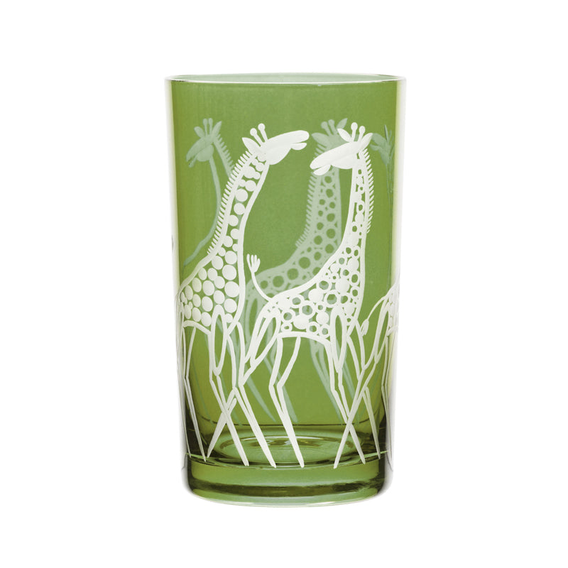 Safari Giraffes