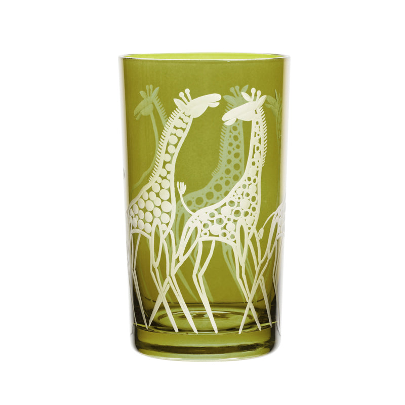 Safari Giraffes