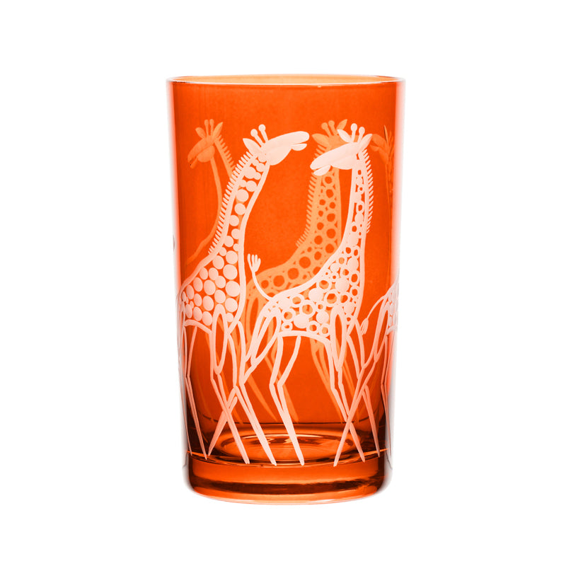 Safari Giraffes