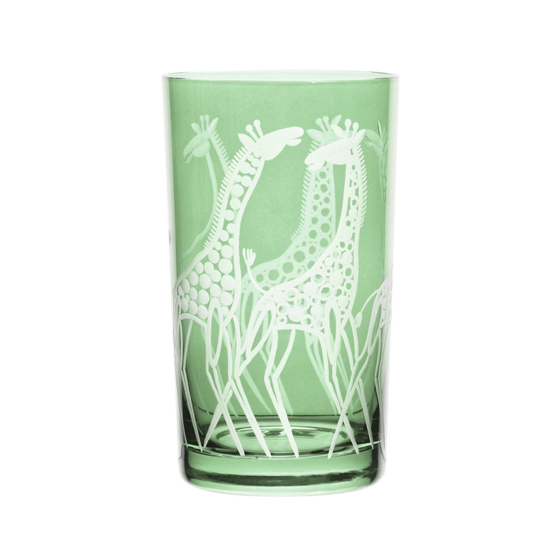 Safari Giraffes