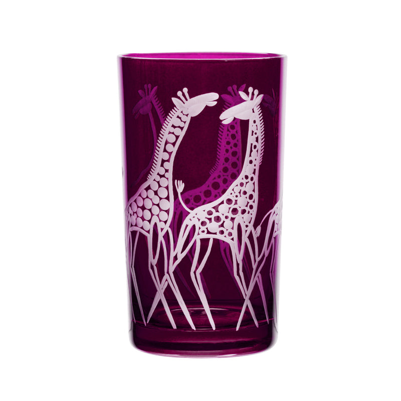 Safari Giraffes