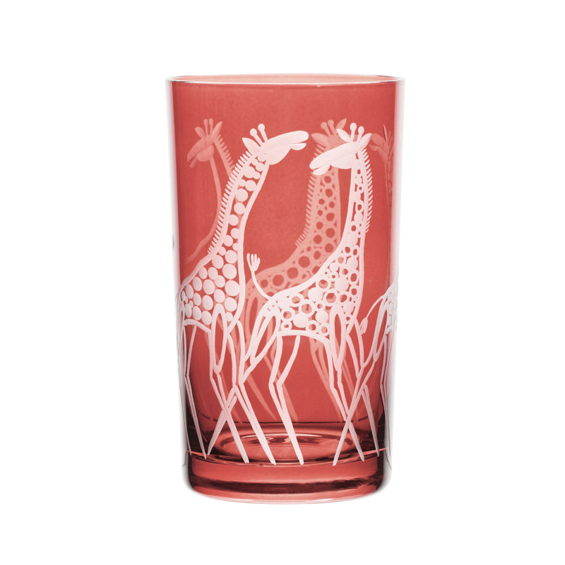 Safari Giraffes