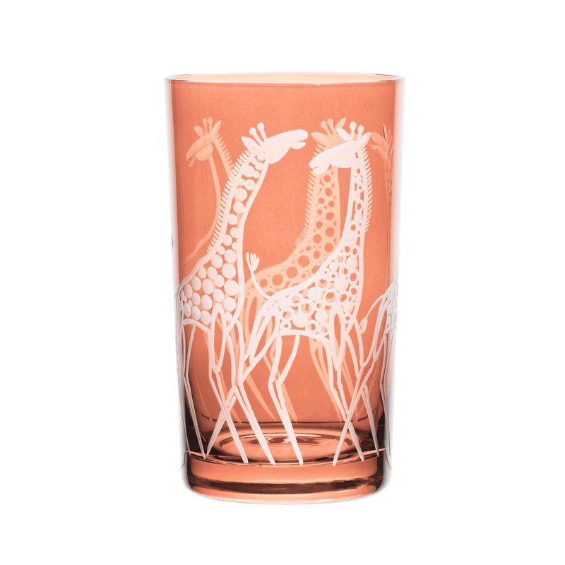 Safari Giraffes