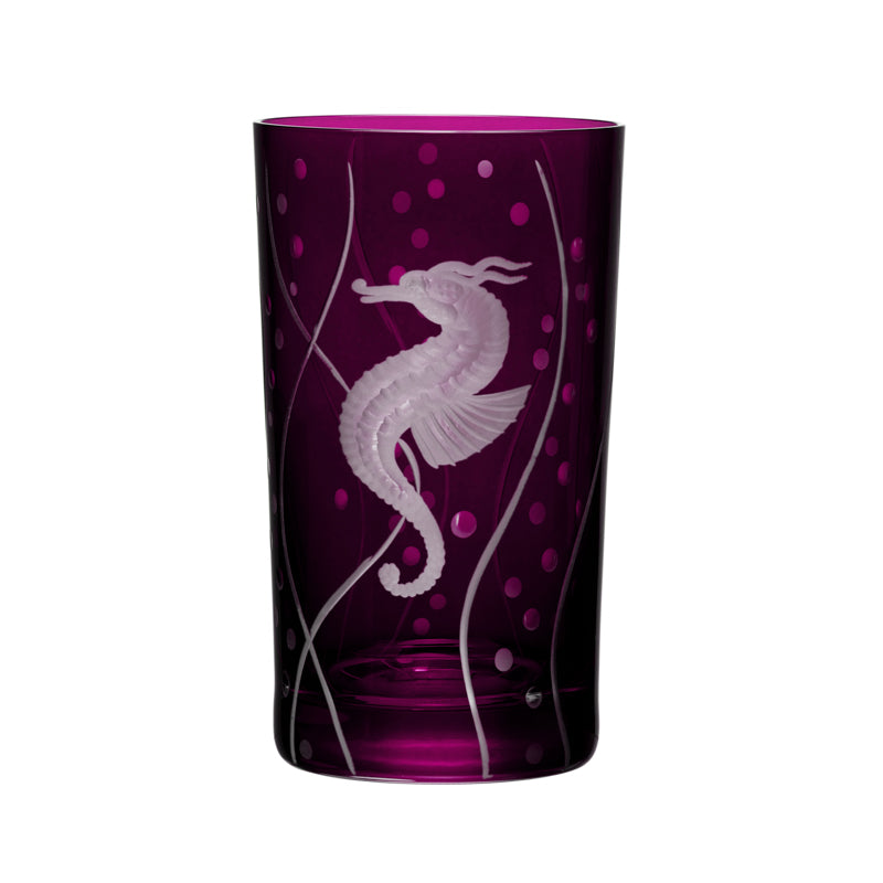 Sea Life Seahorse