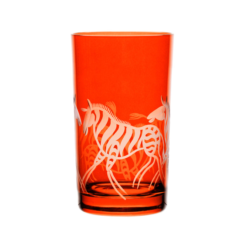 Safari Zebras