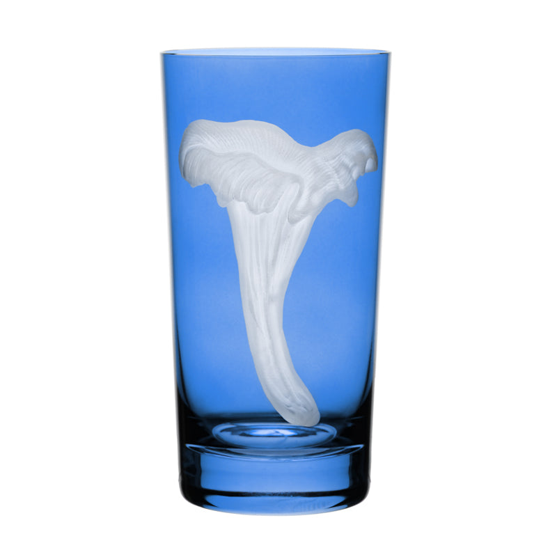 Mushrooms Chanterelle