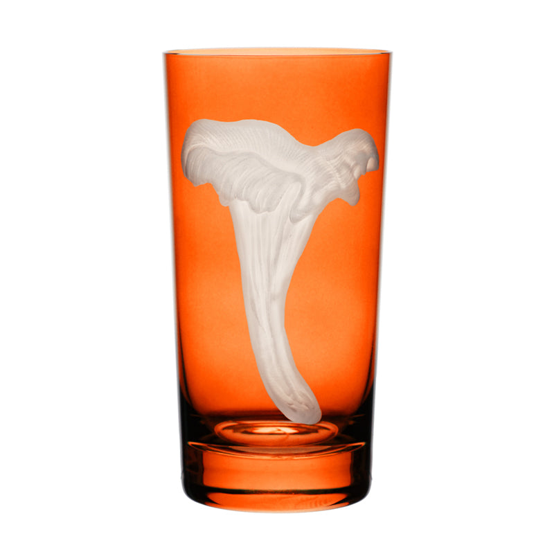 Mushrooms Chanterelle