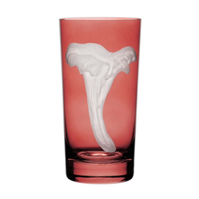 Mushrooms Chanterelle