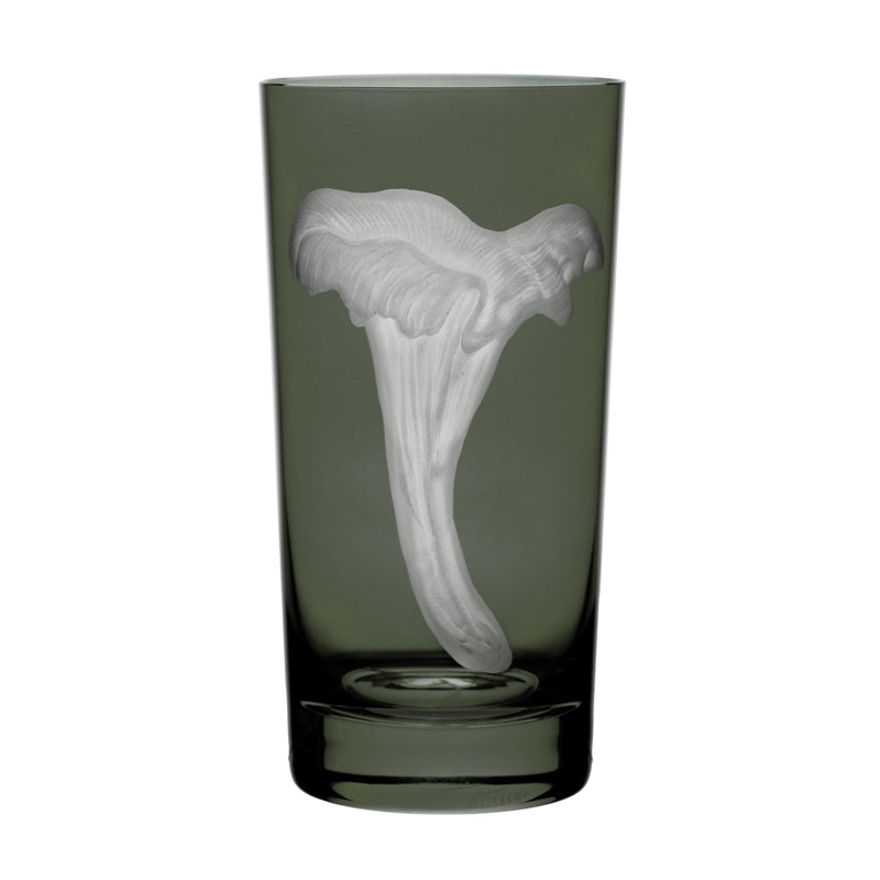 Mushrooms Chanterelle