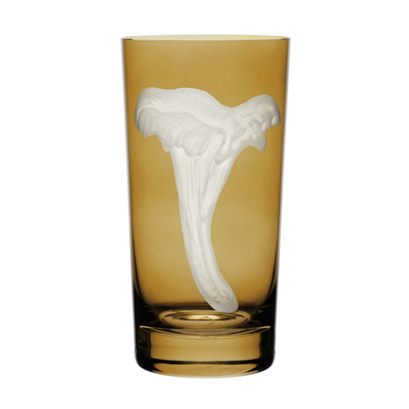 Mushrooms Chanterelle