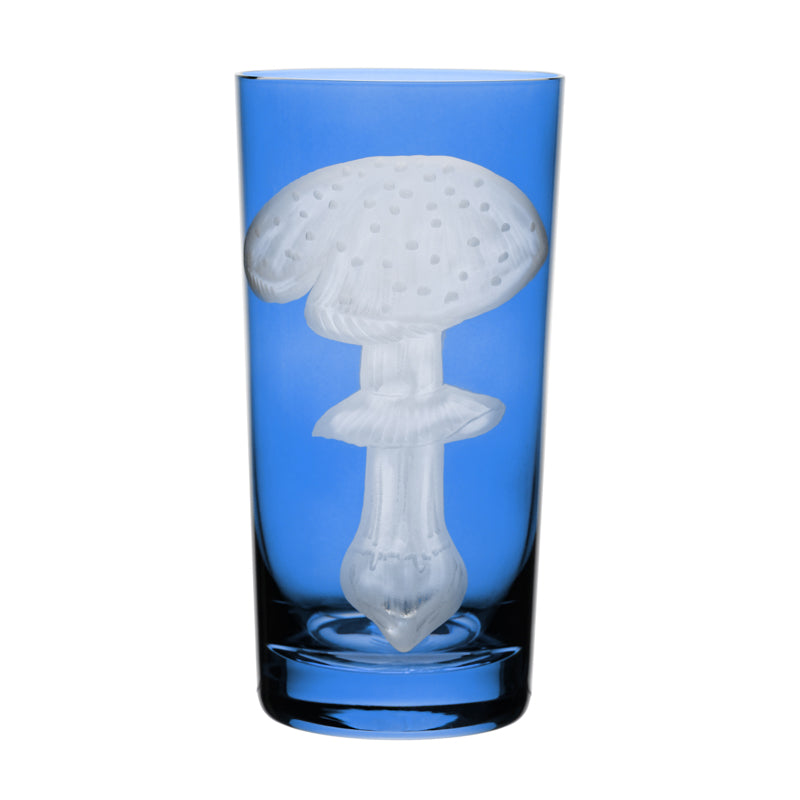 Mushrooms Fly Amanita