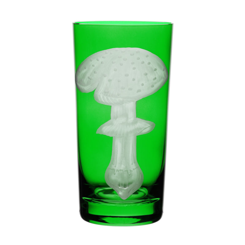 Mushrooms Fly Amanita