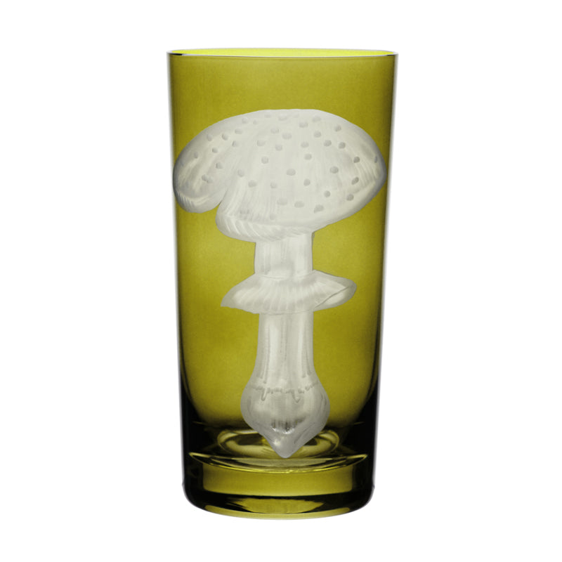 Mushrooms Fly Amanita