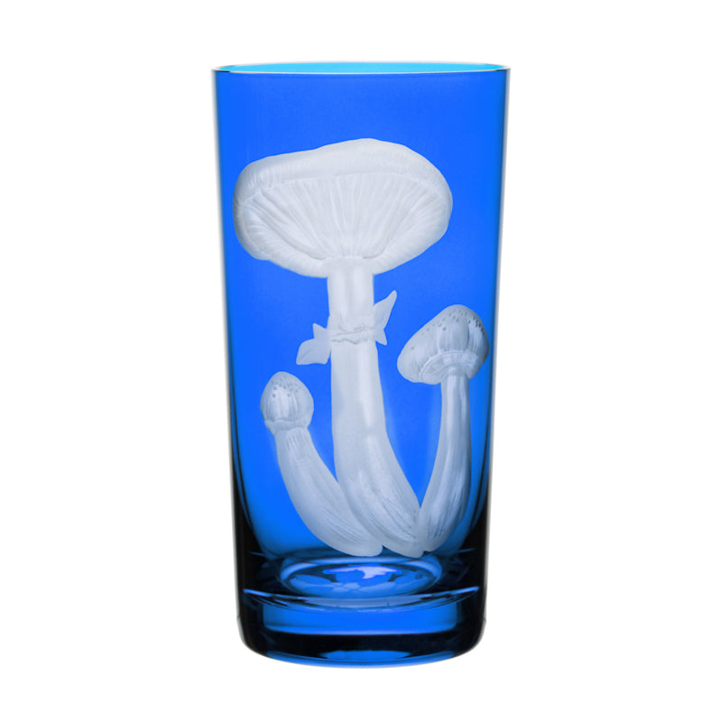 Mushrooms Honey Fungus