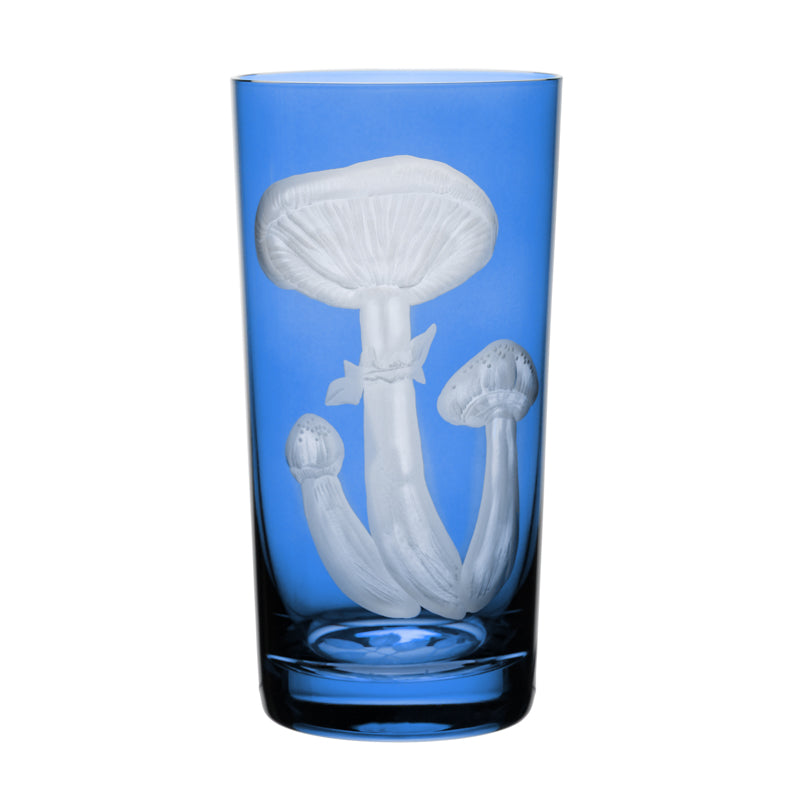Mushrooms Honey Fungus