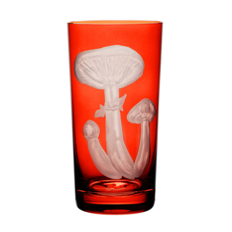 Mushrooms Honey Fungus