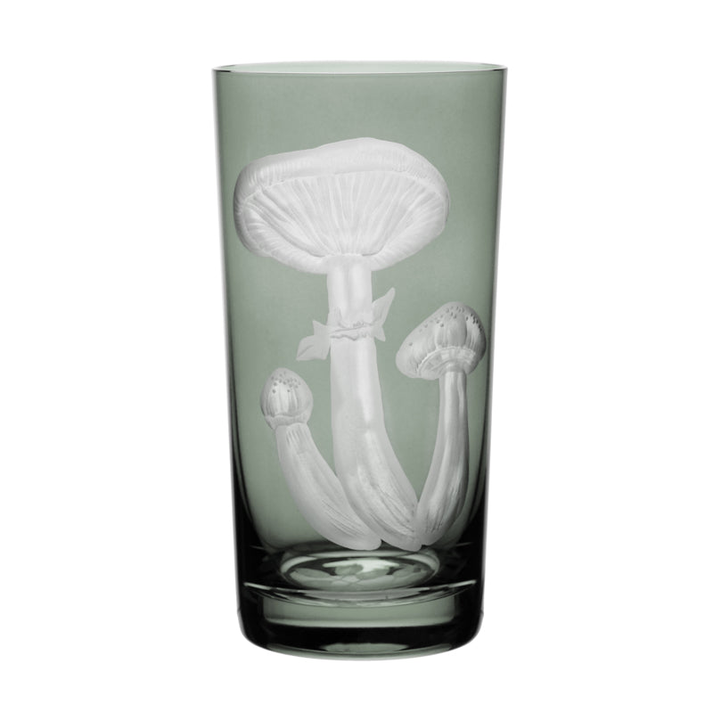 Mushrooms Honey Fungus
