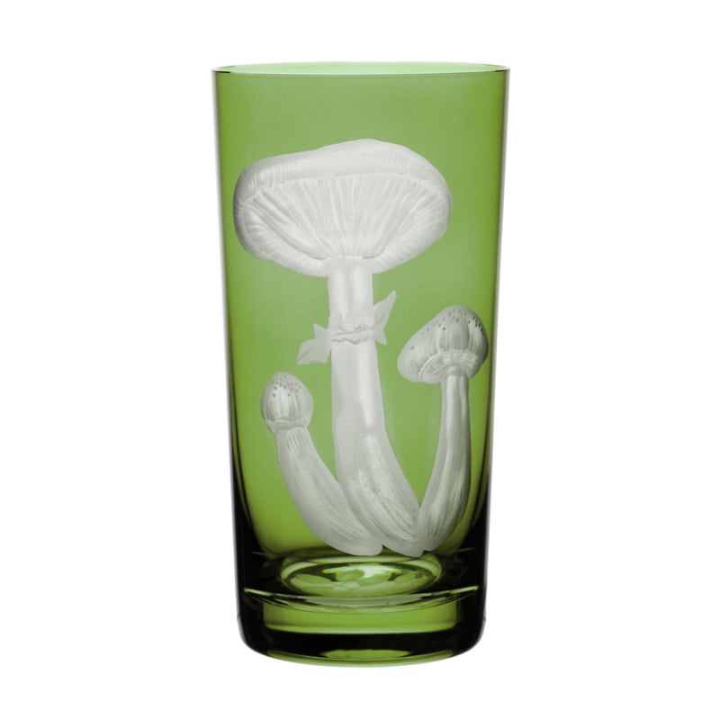 Mushrooms Honey Fungus