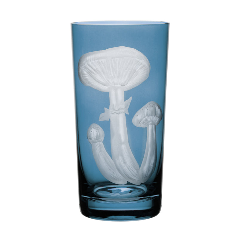 Mushrooms Honey Fungus