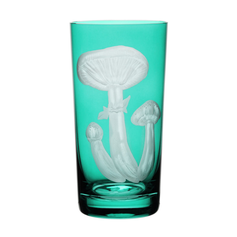 Mushrooms Honey Fungus