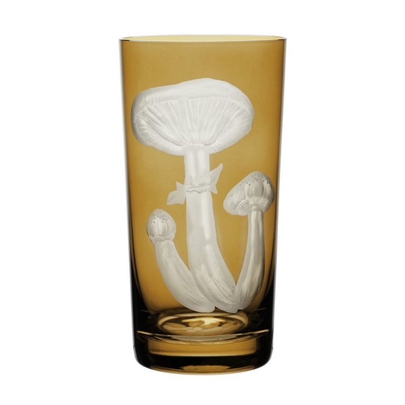 Mushrooms Honey Fungus