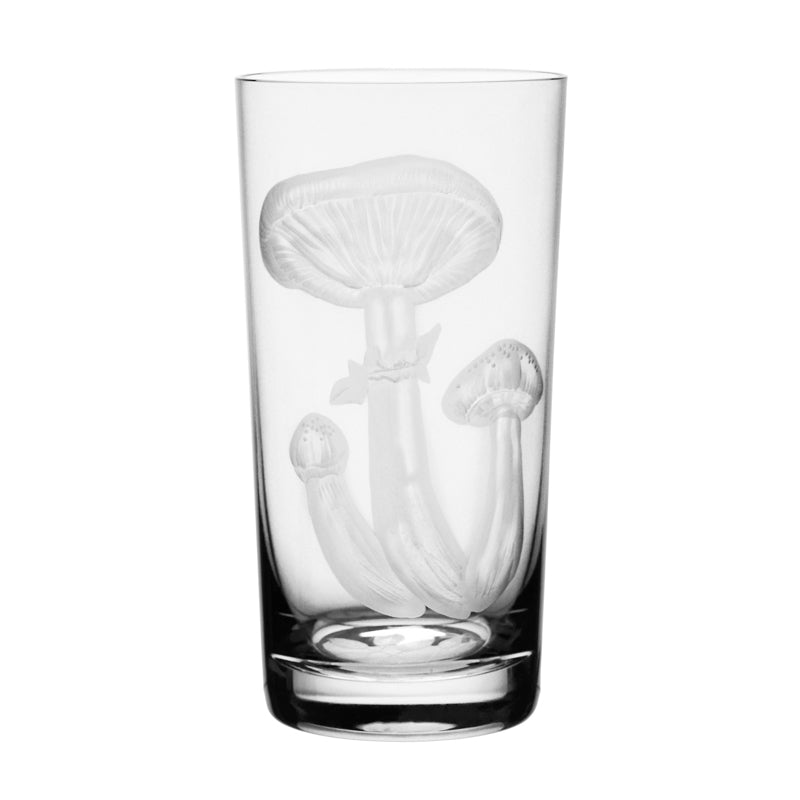 Mushrooms Honey Fungus