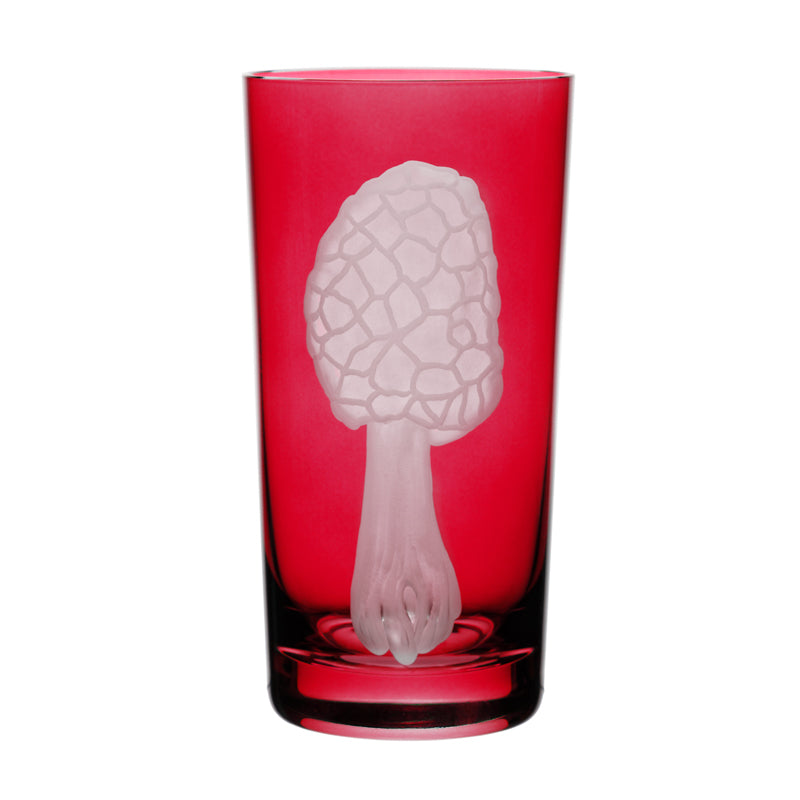 Mushrooms Morel