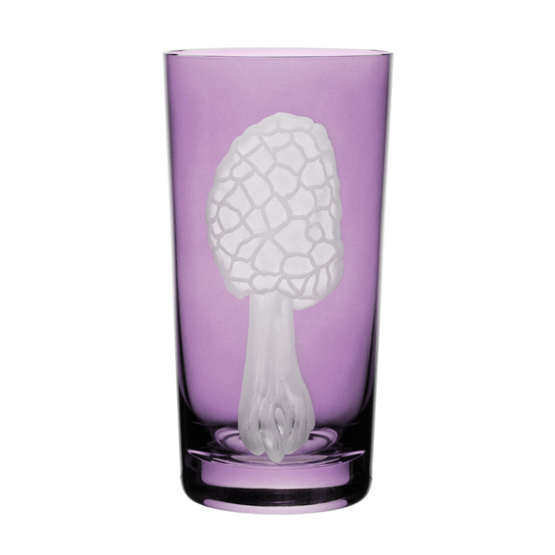 Mushrooms Morel