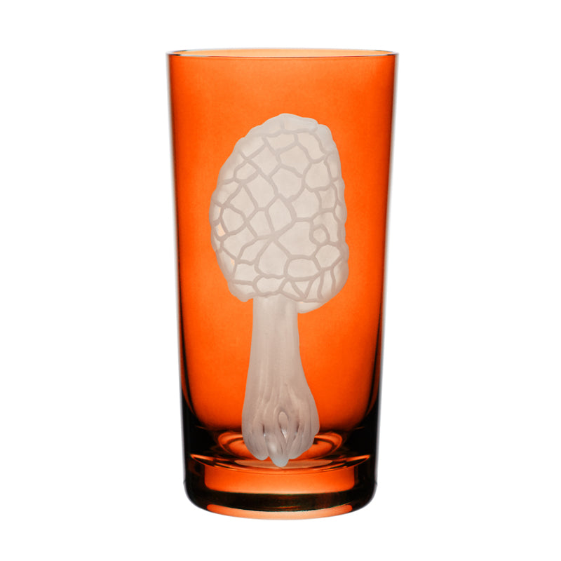 Mushrooms Morel