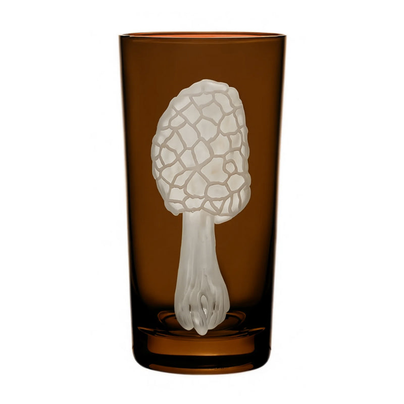 Mushrooms Morel