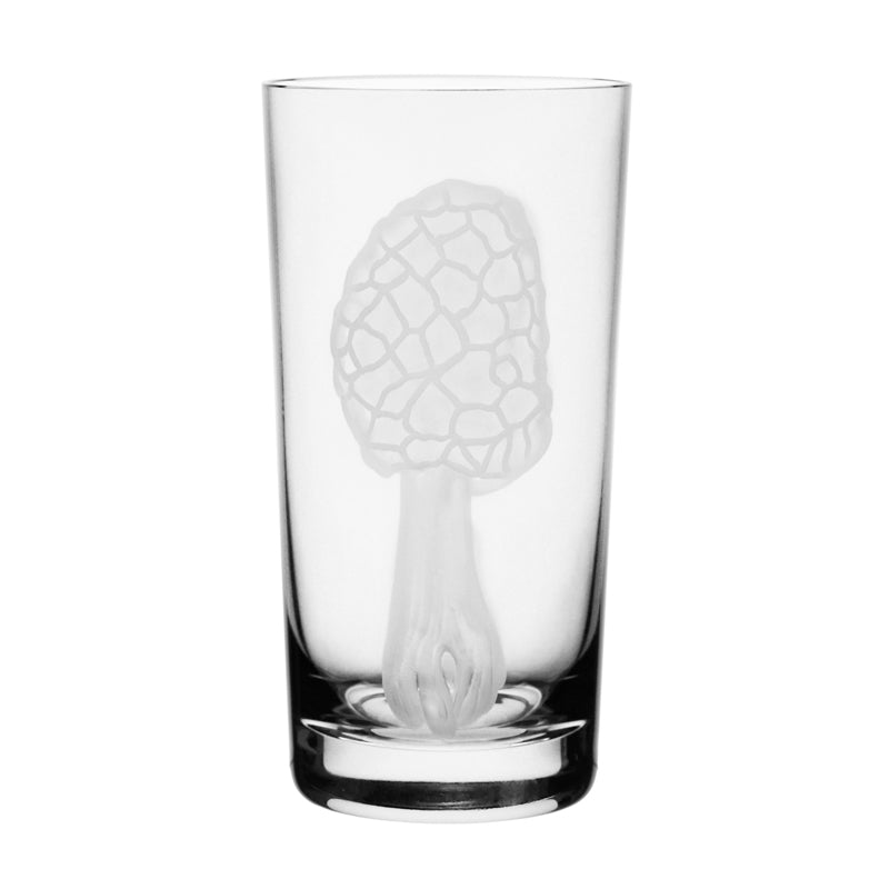 Mushrooms Morel