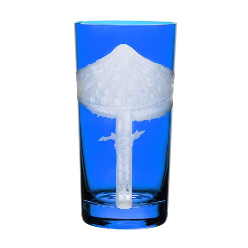 Mushrooms Parasol