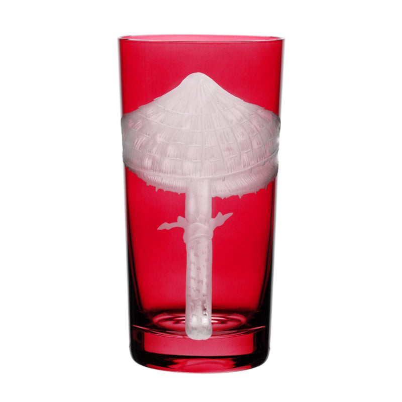 Mushrooms Parasol