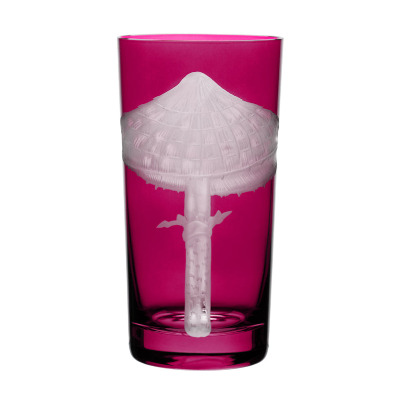 Mushrooms Parasol