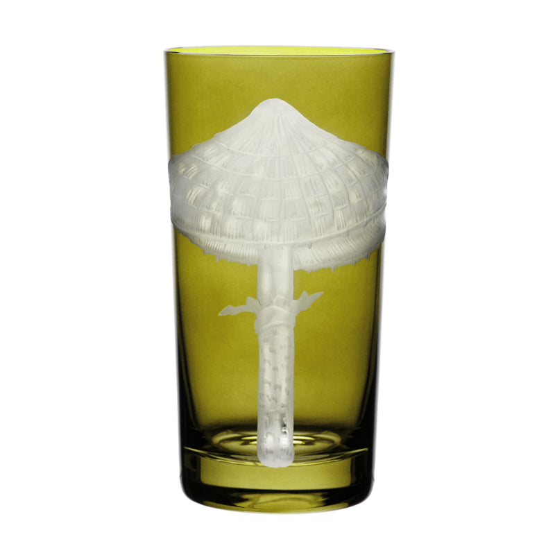 Mushrooms Parasol