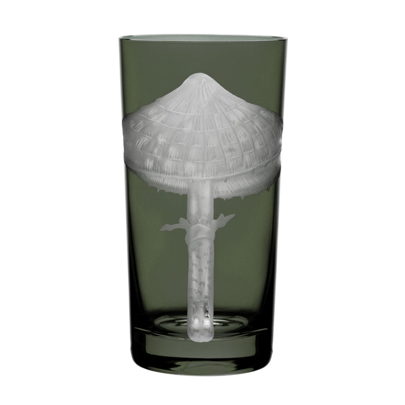 Mushrooms Parasol