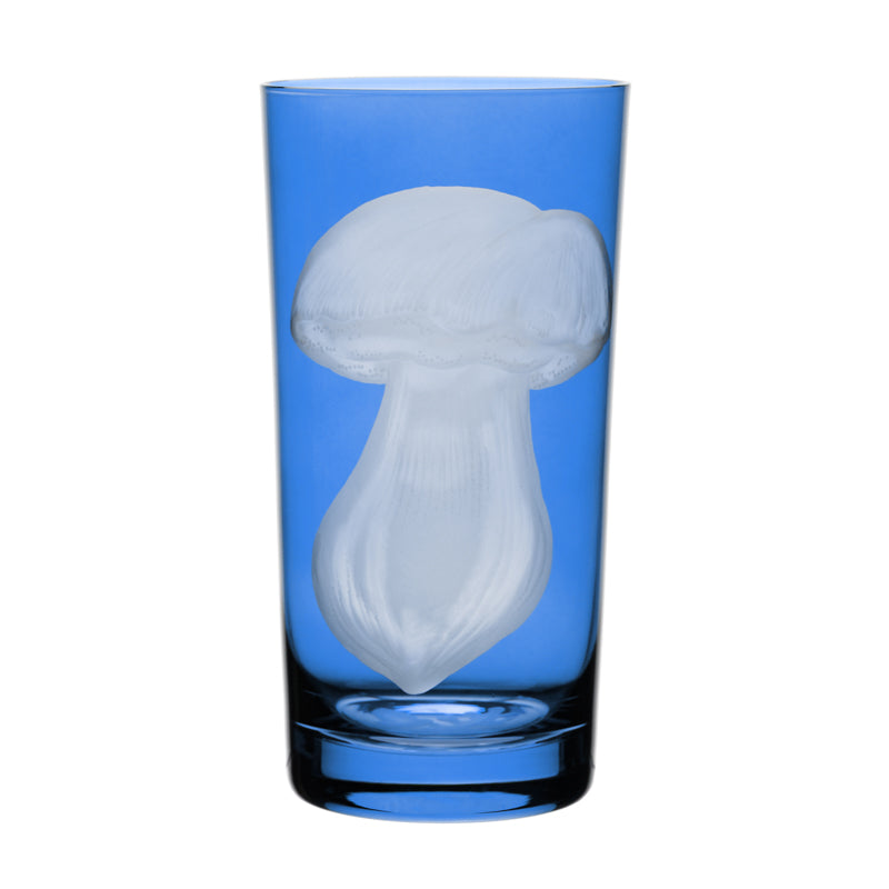 Mushrooms Summer Cep