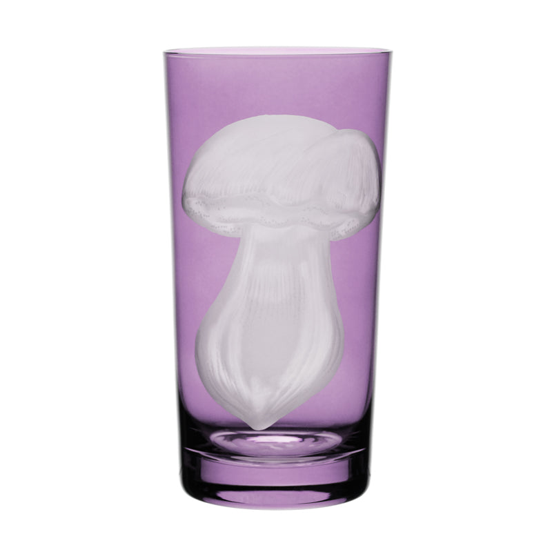 Mushrooms Summer Cep