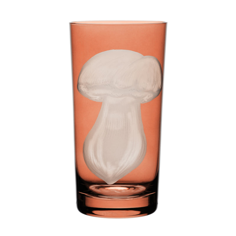 Mushrooms Summer Cep