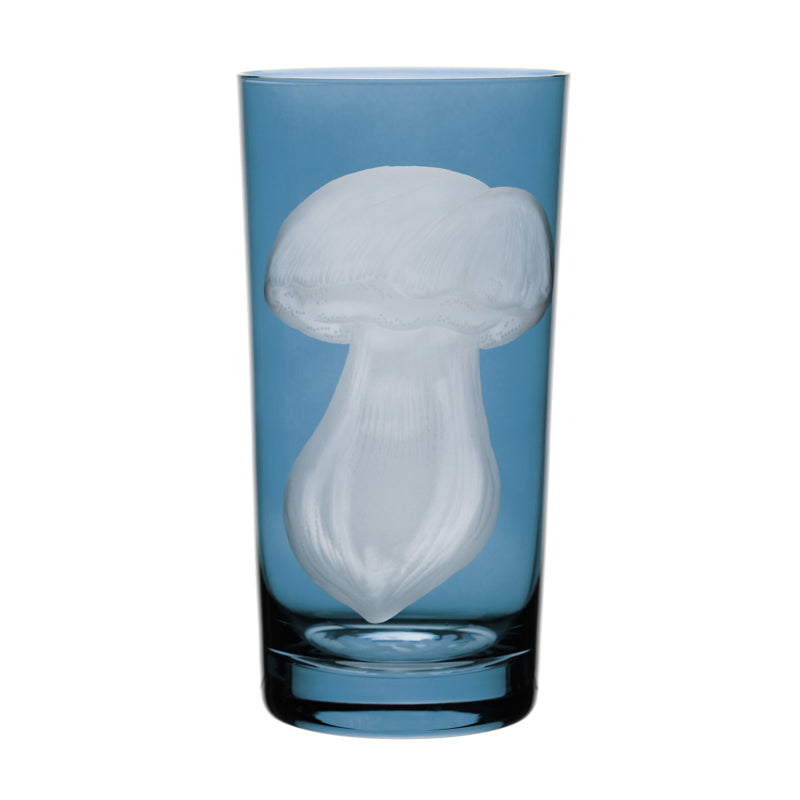 Mushrooms Summer Cep