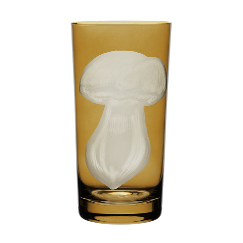 Mushrooms Summer Cep