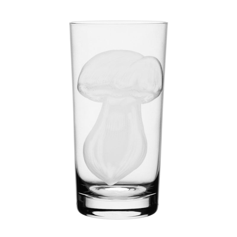 Mushrooms Summer Cep